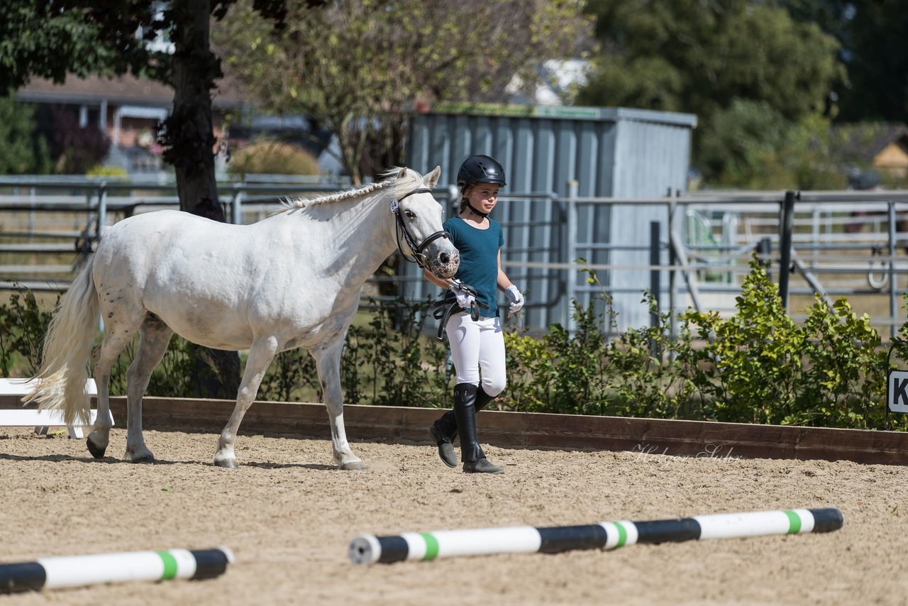 Bild 52 - Pony Akademie Turnier